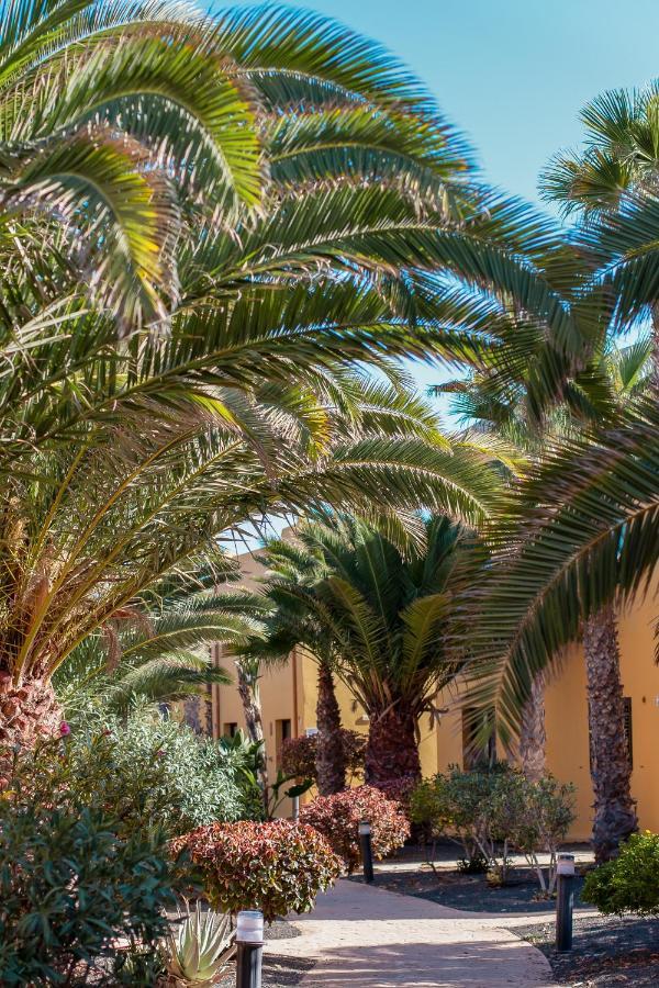 Fuerteventurapartments Corralejo Exterior foto