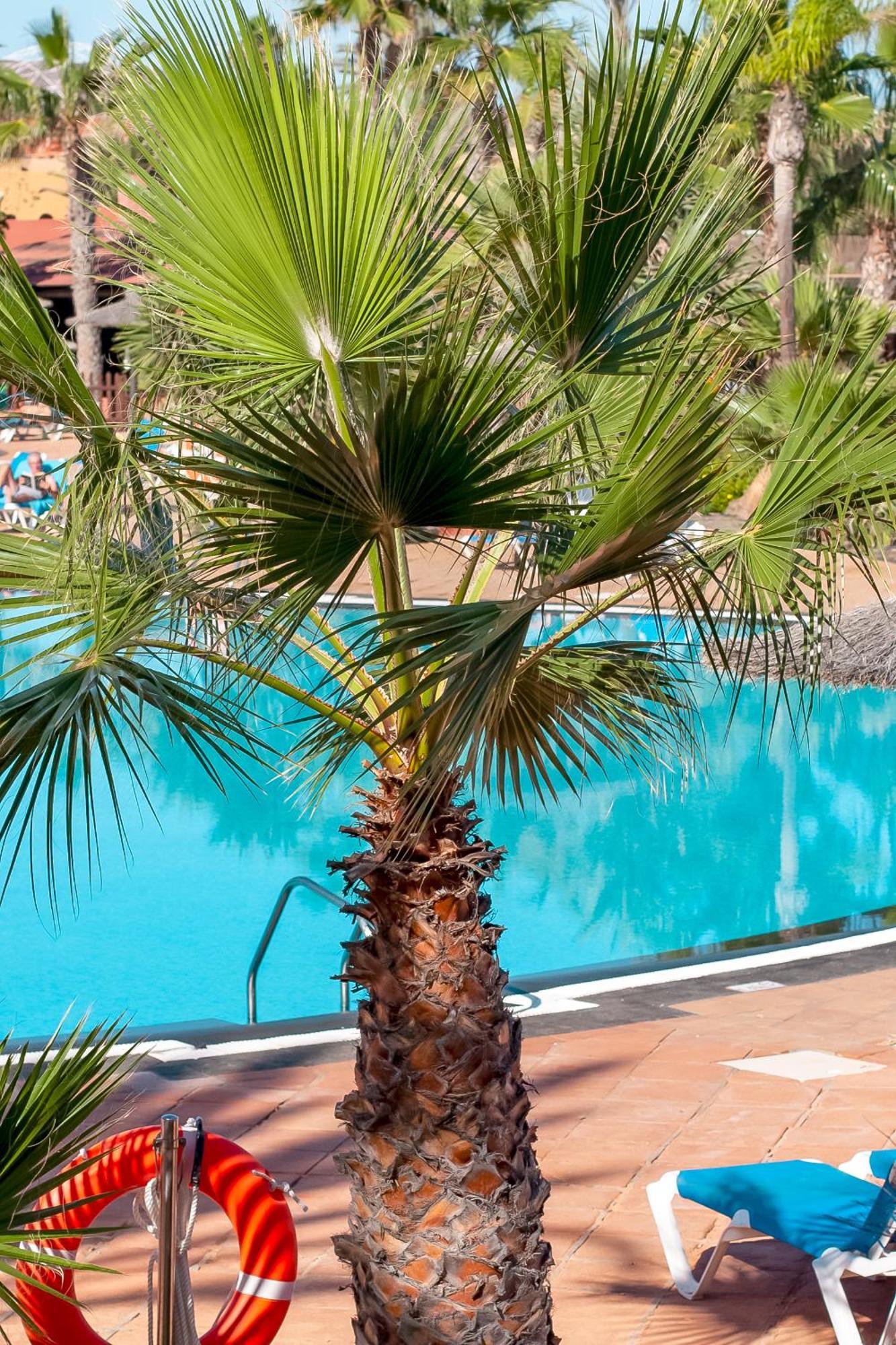 Fuerteventurapartments Corralejo Exterior foto
